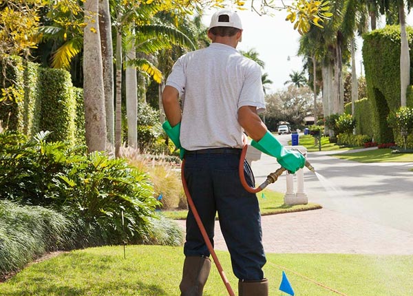 About Saco ME Pest Control Pros